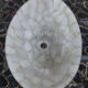 Quartz Wash Basin
