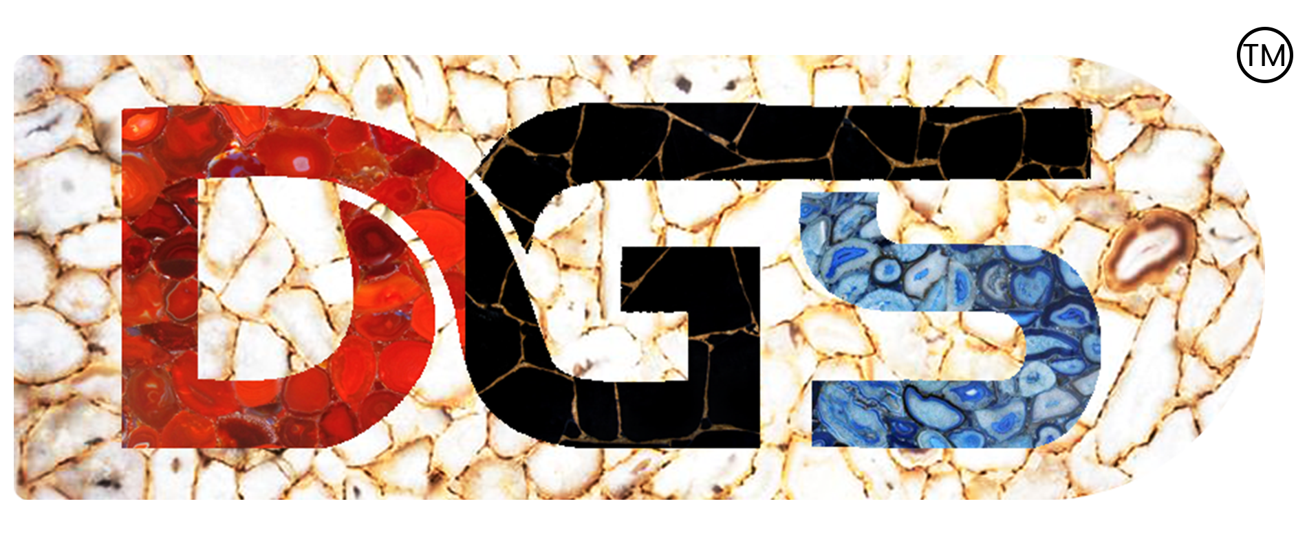 dgs tm logo