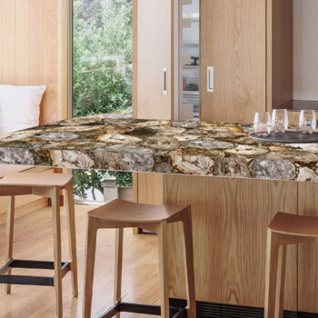 Ivory Petrified Wood Slab Ivory Petrified Wood Slab